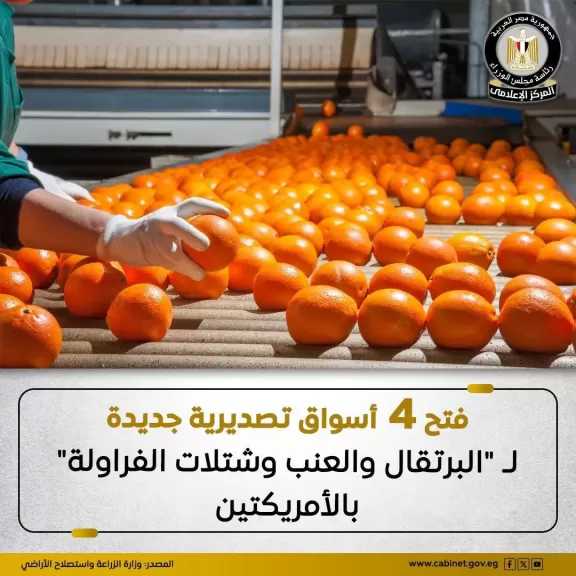 مصر تنجح في فتح 4 أسواق جديدة لـ ”البرتقال والعنب وشتلات الفراولة” بالأمريكتين