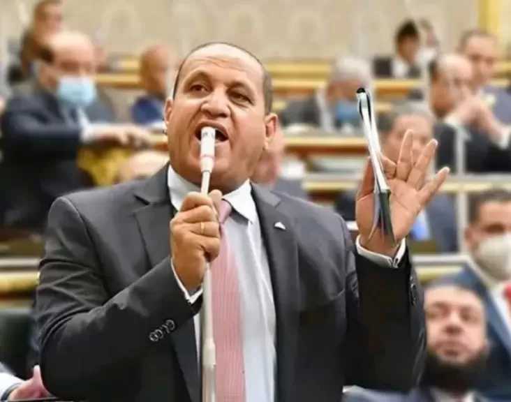 النائب أحمد العرجاوي يطالب بإدراج البحيرة ضمن مراحل تطبيق التأمين الصحي الشامل