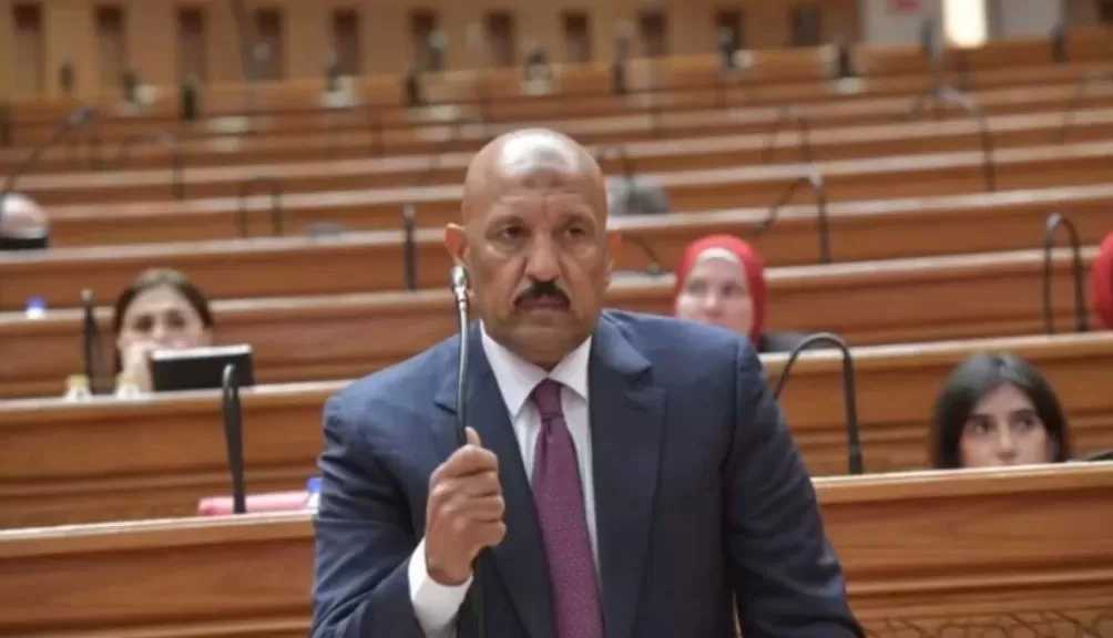 النائب أحمد الحديدي: المواطن لا يشعر بآثار المنح والاتفاقيات.. وتأخر نقل المرضى بين المستشفيات يهدد حياتهم