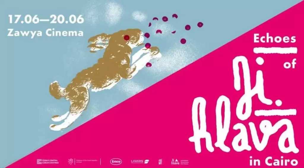 غدا.. انطلاق الدورة الأولى من برنامج «أصداء ييهلافا في القاهرة» للأفلام الوثائقية بسينما زاوية