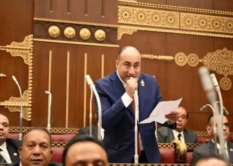 برلماني: كلمة الرئيس السيسي في ذكرى 30 يونيو تؤكد استمرار مسيرة البناء وترسخ قيم الوحدة الوطنية