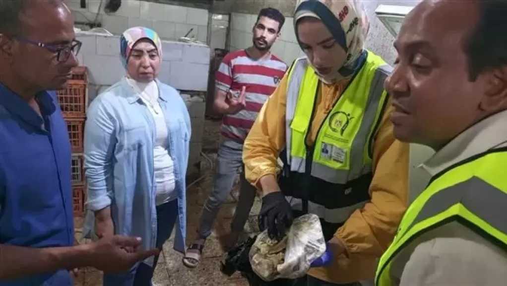 ضبط أغذية فاسدة في حملة لسلامة الغذاء بالخصوص