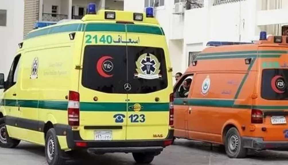 الشرقية.. مصرع 3 شباب غرقا في بحر البقر بمركز فاقوس