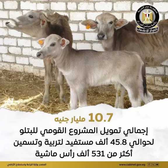 الزراعة: اعتماد مبلغ 111 مليونًا و230 ألف جنيهًا تمويلًا جديدًا لـ 80 مستفيد من صغار المربين وشباب الخريجين