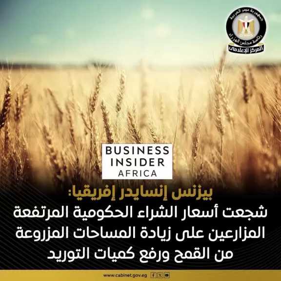منصة بيزنس إنسايدر إفريقيا تشيد بجهود الحكومة في تشجيع المزارعين على التوسع في زراعة وتوريد القمح