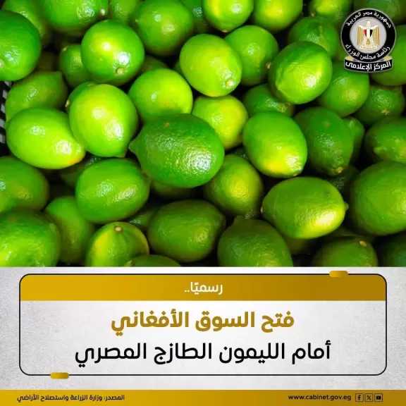فتح السوق الأفغاني رسميًا أمام صادرات الليمون الطازج المصري