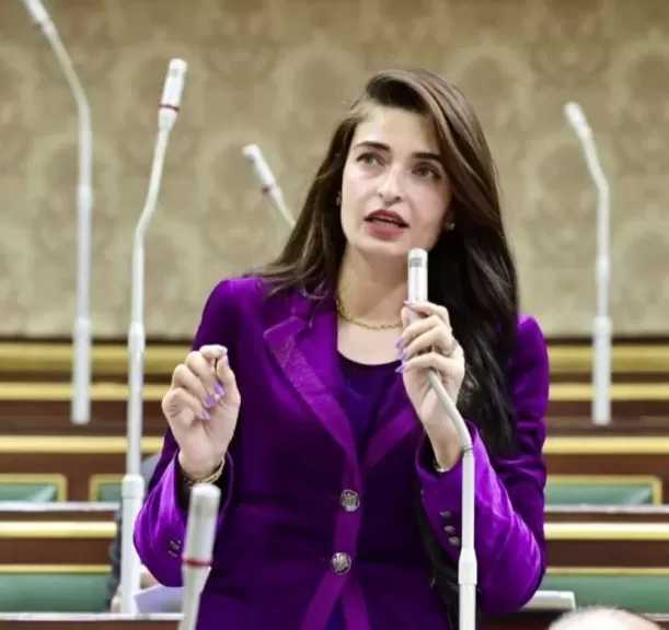 النائبة إيرين سعيد: لا ننكر إنجازات كامل الوزير لكنه أكثر الوزراء اقتراضا