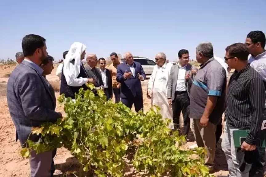 محافظ مطروح يوجه بدراسة التوسع في اعتماد مزرعة بسيدي براني على تحلية مياه الآبار