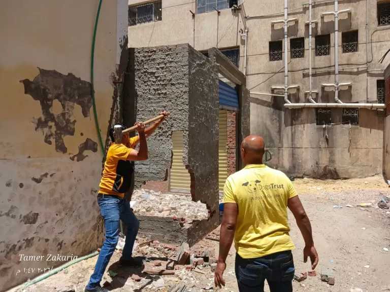 محافظة الإسكندرية تواصل حملاتها المكثفة لإزالة مخالفات البناء والتعديات.. صور