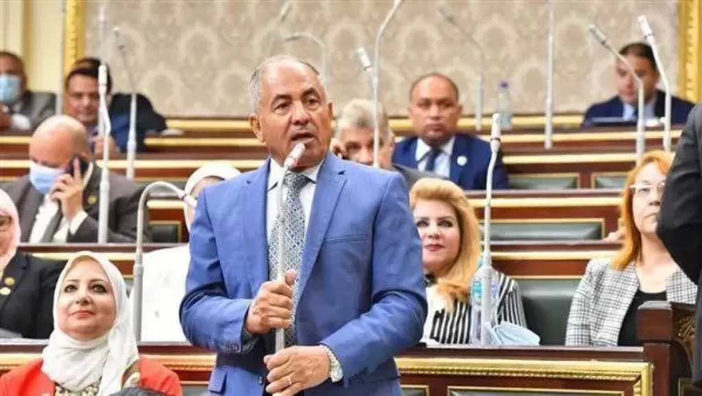 وكيل مجلس الشيوخ: يجب تحديث قانون الشركات المساهمة والتوصية بالأسهم ليواكب التغيرات