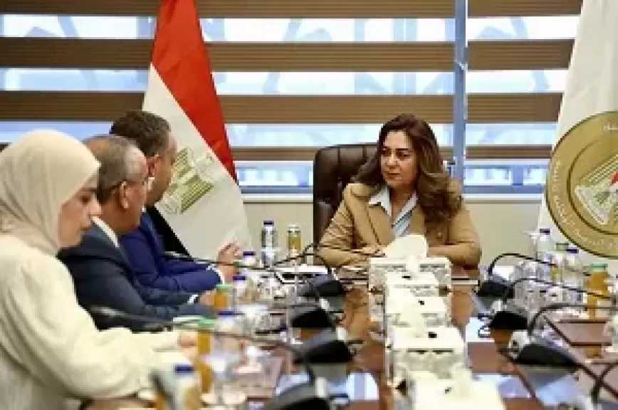 وزيرة التنمية المحلية تبحث مع نقيب المهندسين تعزيز التعاون في ملفات التصالح وتراخيص البناء