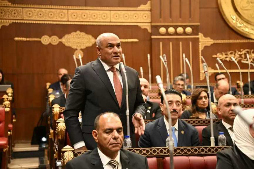 النائب شعبان رأفت: نحتاج إلى الانتقال من تصدير المواد الخام إلى تصدير المنتج المصري المتكامل