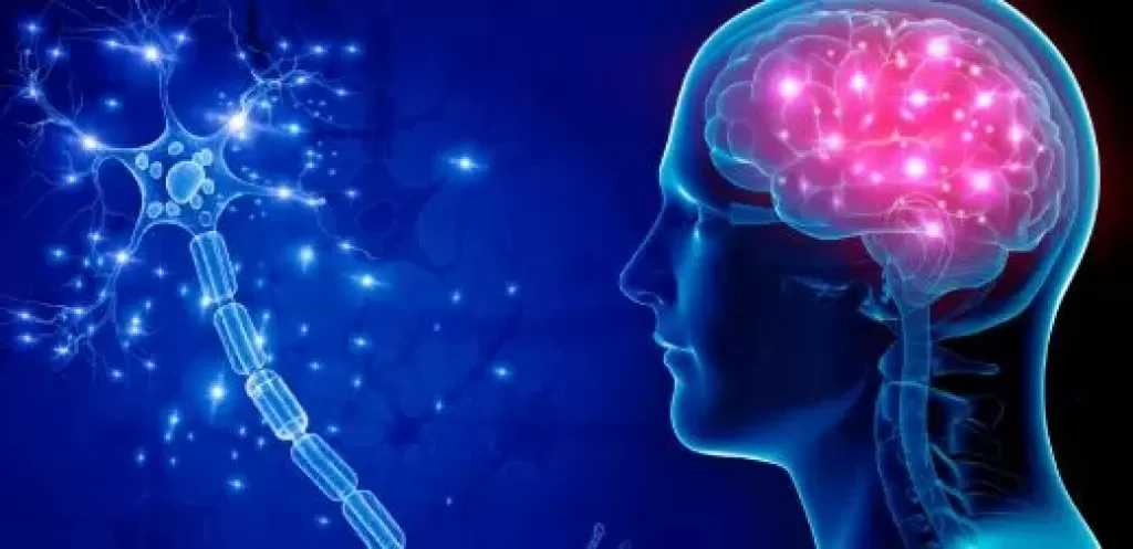 علماء يبحثون عن خلايا المخ المسئولة عن الشعور بالوحدة