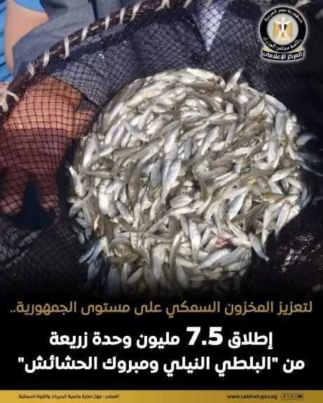 إطلاق وتنمية 7 ملايين و450 ألف وحدة زريعة من البلطي النيلي ومبروك الحشائش بعدد من المسطحات المائية