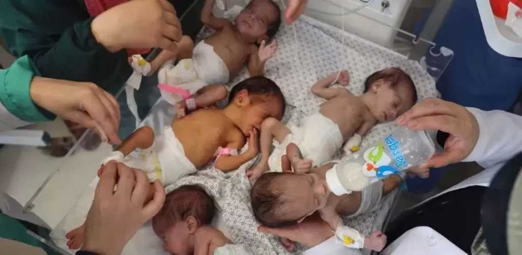 غزة بلا حليب علاجي.. الموت يهدد الرضع والخدج في القطاع