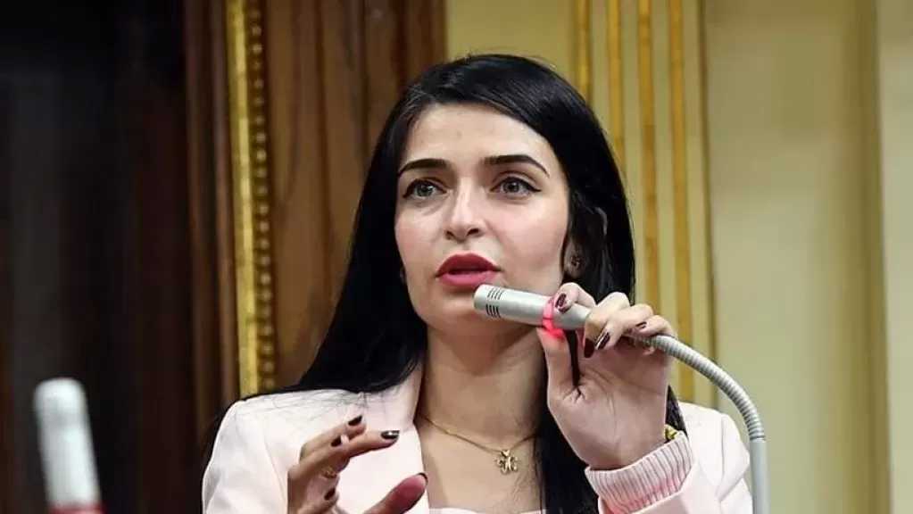 النائبة إيرين سعيد تشكر الشركة المتحدة على مسلسل كارثة طبيعية