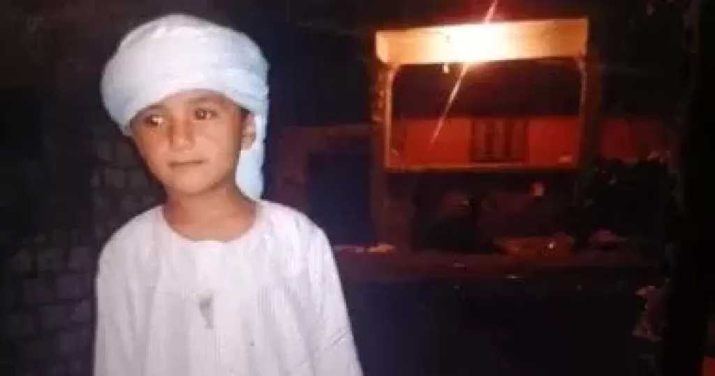 بعد وفاة سيدة بالقرية.. مصرع طفل بلدغة ثعبان أثناء مساعدة والده في الزراعة