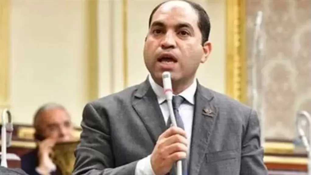 برلماني: قانون الإدارة المحلية دستور السلطة التنفيذية