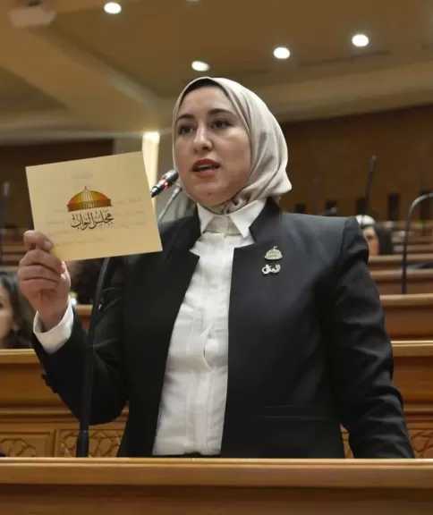 النائبة صافيناز طلعت: لم تناقش أي مقترحات أو توجهات بشأن تخفيف أحمال الكهرباء في الصيف
