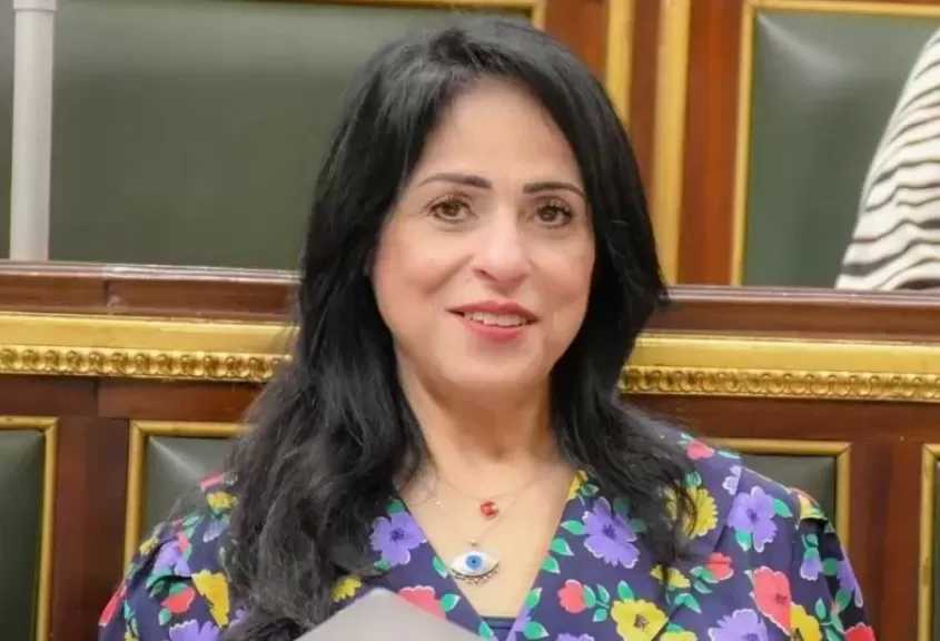 النائبة ميرال الهريدي: استهداف سفينتي غاز بدمياط محاولة مرفوضة لجر مصر إلى ساحة الصراعات الإقليمية