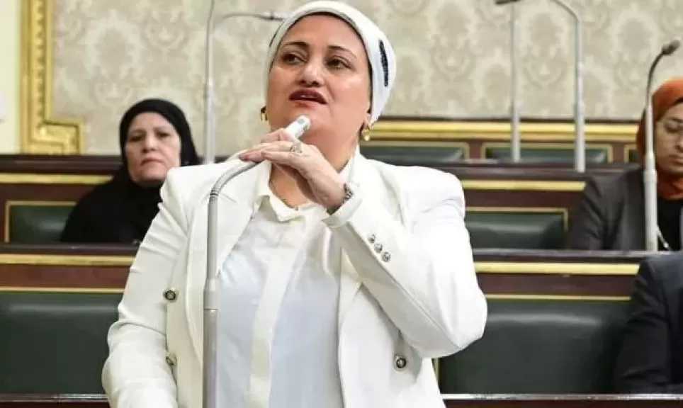 النائبة سناء السعيد عن زيادة أسعار تذاكر القطارات: قرار غير مدروس وتوقيته غير مناسب