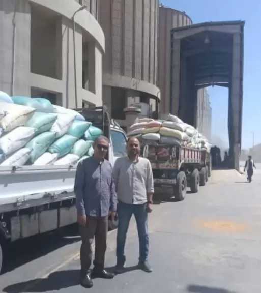 محافظ أسيوط: استلام 242 ألفا و500 طن من القمح المحلي منذ انطلاق موسم التوريد 2026