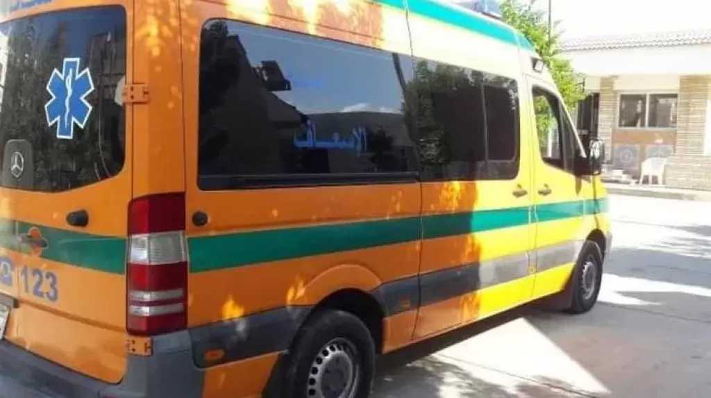 بسبب خلافات الجيرة.. مصرع سيدة برصاص جارتها في قنا
