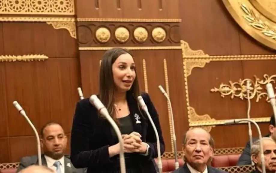 النائبة حنان وجدي: الدولة وضعت قواعد واضحة لزيادة مساهمة القطاع الخاص في الاقتصاد