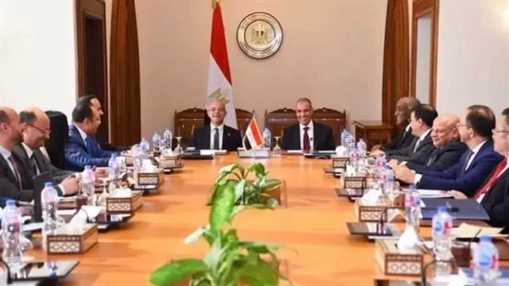 وزيرا الخارجية والاستثمار يبحثان التنسيق وتكامل الجهود لدعم استثمارات الشركات المصرية بإفريقيا