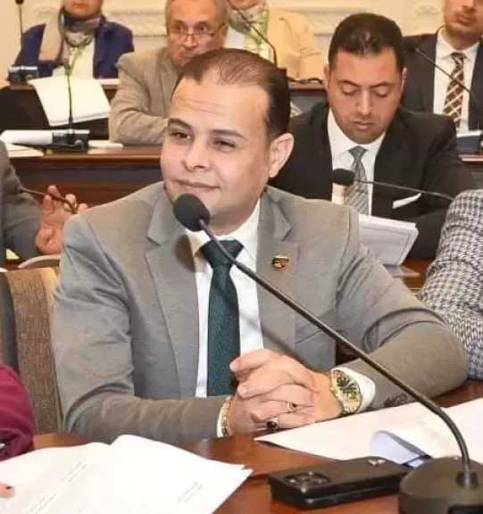 صناعة البرلمان: تعزيز الشراكة المصرية التنزانية يعكس توجه الدولة لفتح أسواق جديدة ودعم الصناعة الوطنية