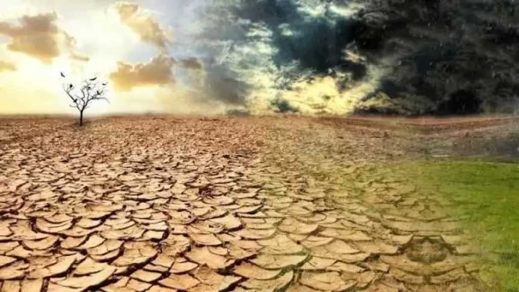 خبراء يناقشون أدوات رئيسية لمواجهة التصحر وحماية الأمن الغذائي