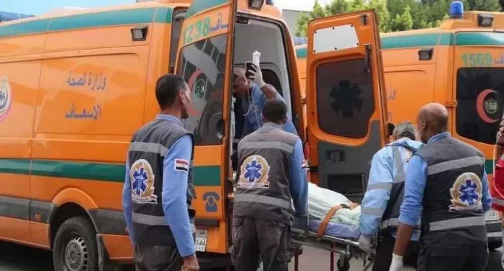 إصابة 3 أشخاص بإعياء نتيجة استنشاق مبيد حشري بميت سلسيل في الدقهلية