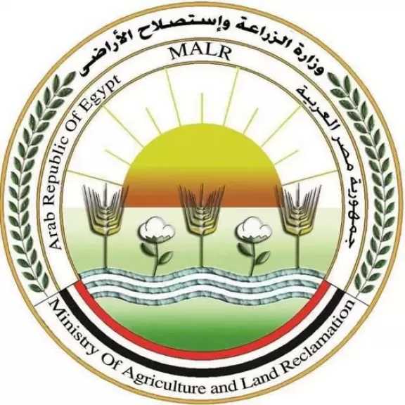 ”الزراعة” تؤكد عدم صحة ما يتم تداوله بشأن انتشار وبائي واسع لمرض الجلد العقدي وتؤكد استقرار الموقف الوبائي وتحصين 4 ملايين رأس ماشية هذا العام