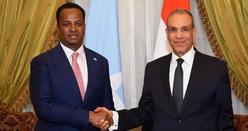 وزير الخارجية يطالب الصومال بسرعة الإفراج عن البحارة المصريين المختطفين وضمان سلامتهم