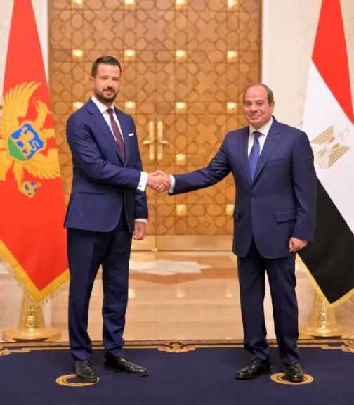 الرئيس السيسي يستعرض جهود مصر لخفض التصعيد في المنطقة والتوصل إلى حلول سلمية للأزمات