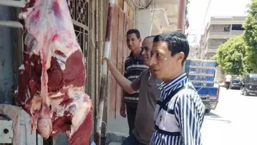 المنيا.. إغلاق مخبز مخالف وضبط لحوم غير صالحة للاستهلاك قبل طرحها بالأسواق