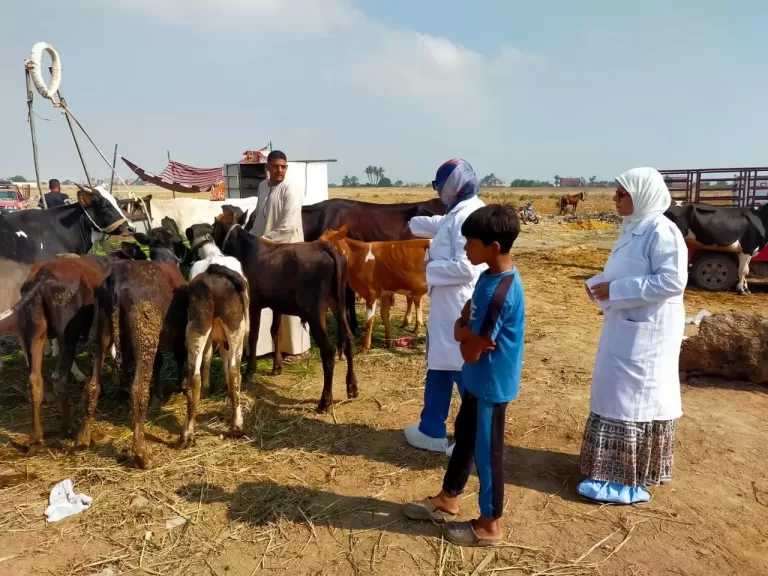وزارة الزراعة تكثف الترصد الوبائي لحماية الثروة الحيوانية