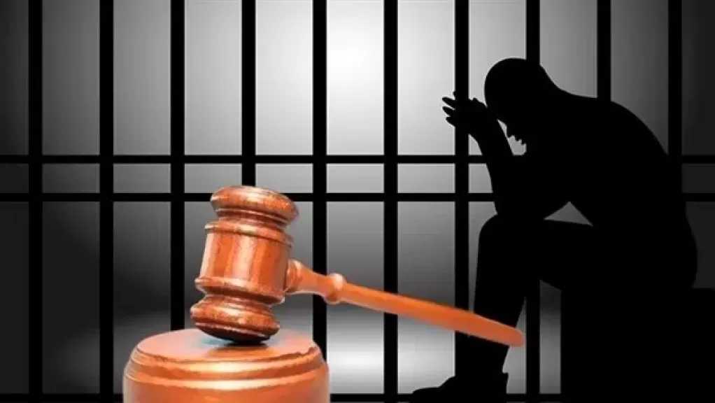 اليوم.. نظر محاكمة 5 متهمين بخلية حلوان