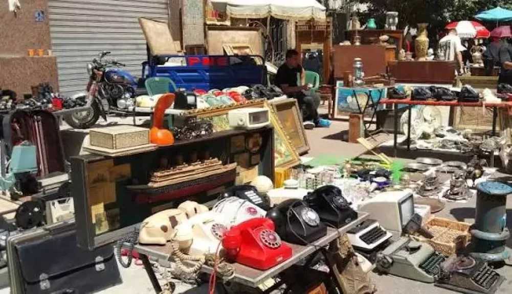 التنمية المحلية والبيئة: حملة موسعة لمنع الاتجار غير المشروع بالحياة البرية في أسواق ديانا بالقاهرة