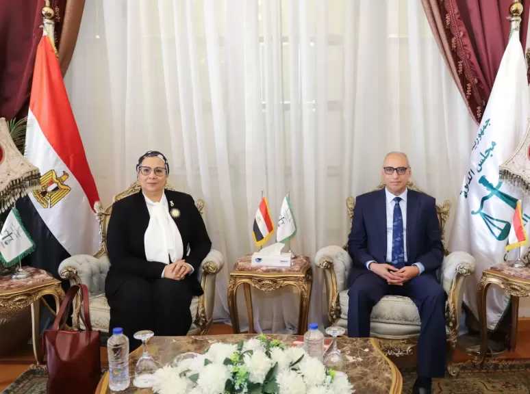 رئيس مجلس الدولة يستقبل رئيسة المجلس القومي للمرأة لتقديم التهنئة