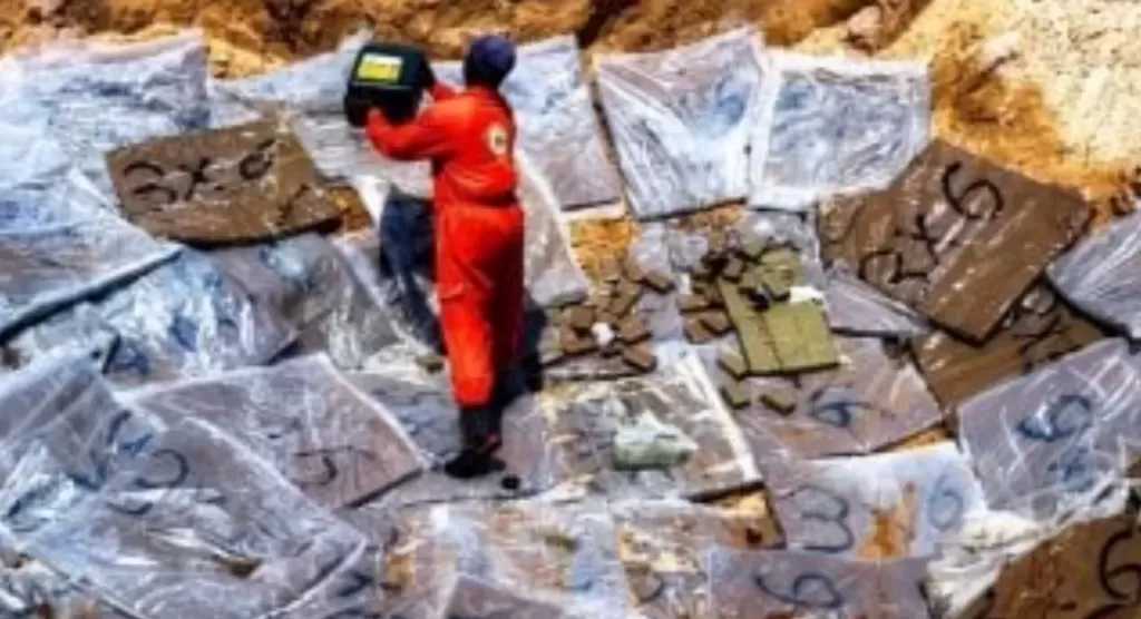 السلطات الليبية تعلن إتلاف أكثر من 5 أطنان حشيش بعد ضبطها بالمنطقة الحرة