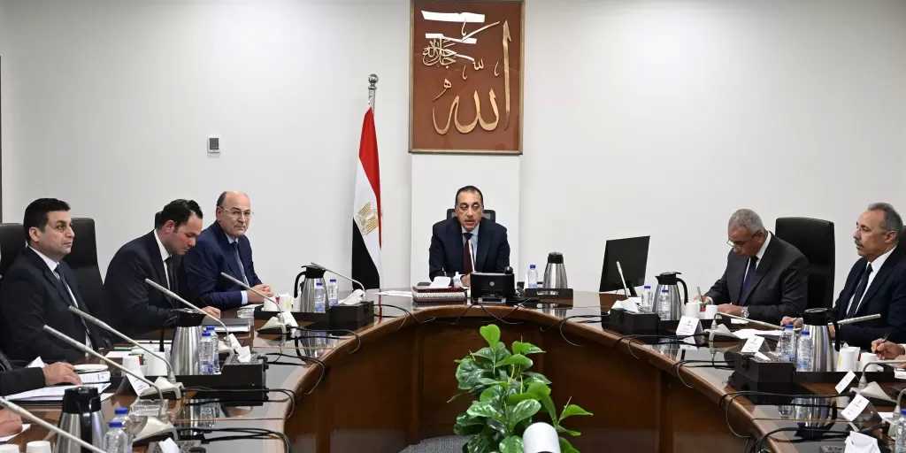 رئيس الوزراء يستعرض الرؤية المقترحة لتطوير زراعة وصناعة الكتان في مصر
