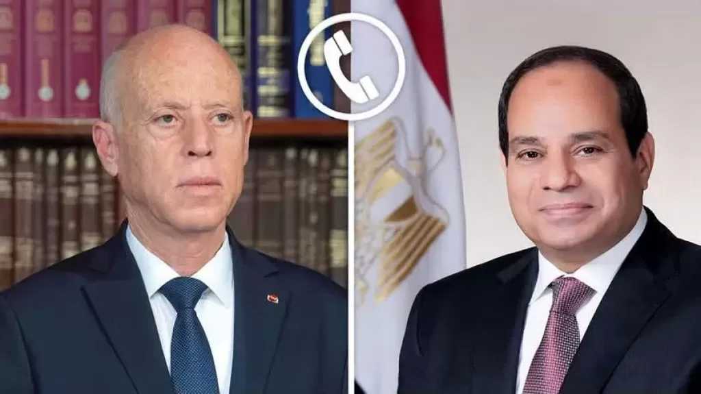 الرئيس السيسي ونظيره التونسي يؤكدان ضرورة تغليب الحلول السياسية والعمل على خفض التصعيد