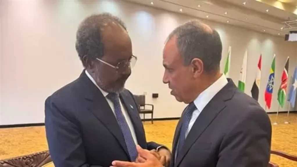 وزير الخارجية يلتقي الرئيس الصومالي على هامش قمة الدول المساهمة بقوات بعثة الاتحاد الإفريقي