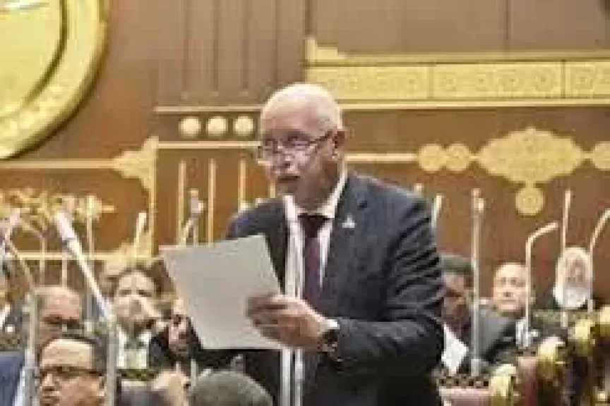 حازم الجندى: مصر تسجل ملحمة جديدة فى سجل دورها الإقليمى لدعم القضية الفلسطينية