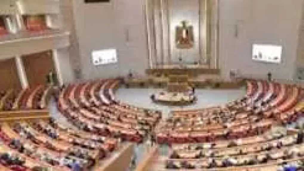 نائبة: الدولة المصرية قادرة علي التعامل مع كافة التحديات والأزمات
