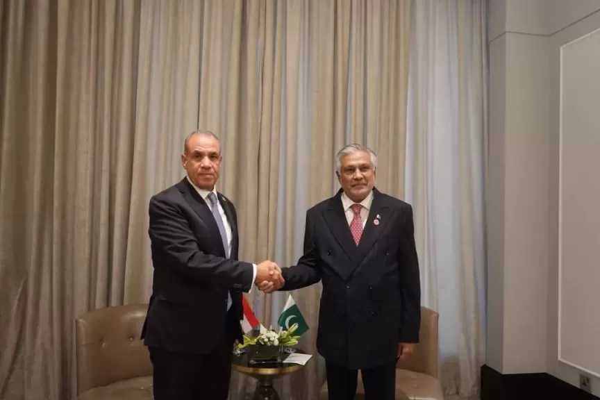 ‎وزير الخارجية يلتقي نظيره الباكستاني على هامش الاجتماع الوزاري بشأن القدس في عمّان