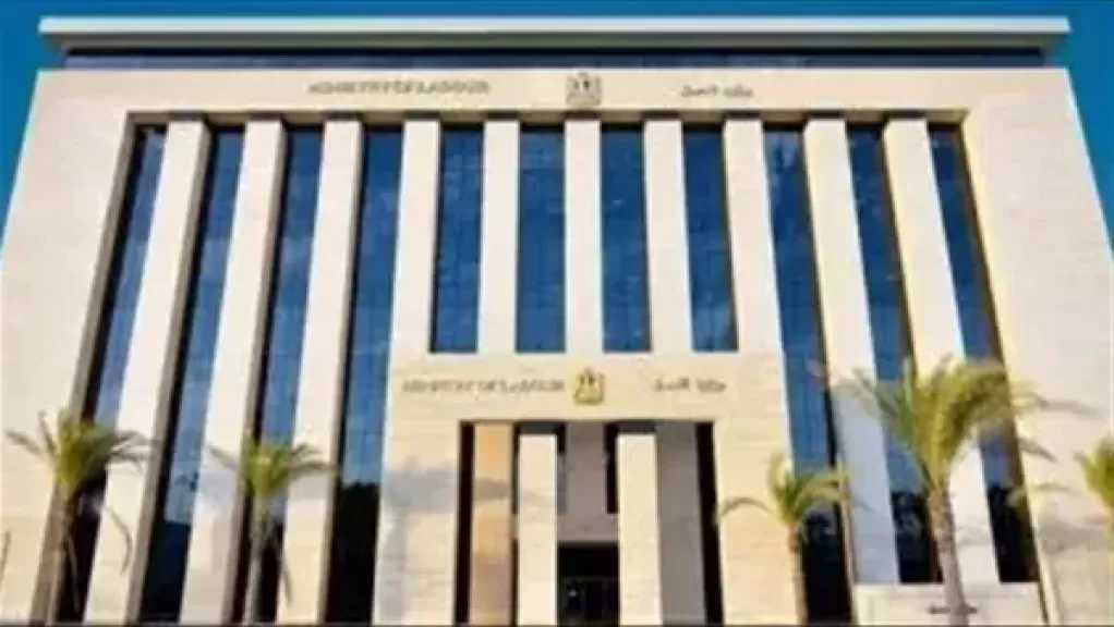 تعرف على ضوابط التدريب والتشغيل في قانون العمل رقم 14 لسنة 2025