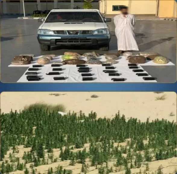 الداخلية تداهم مزرعتين بالإسماعيلية.. وتضبط مخدرات بقيمة 1.4 مليار جنيه