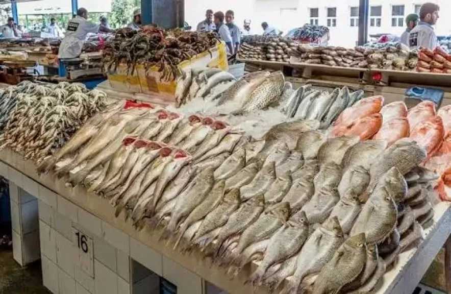 أسعار الأسماك والمأكولات البحرية في الأسواق اليوم السبت 8 أغسطس